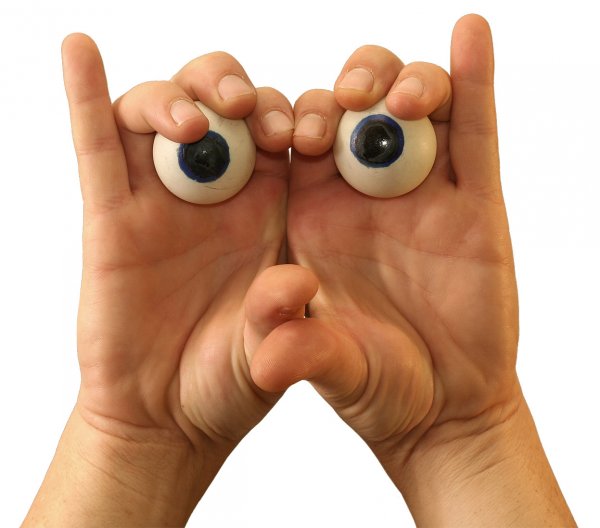 la chouette